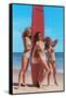 Three Gidgets on Beach-null-Framed Stretched Canvas