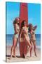 Three Gidgets on Beach-null-Stretched Canvas