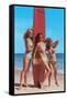 Three Gidgets on Beach-null-Framed Stretched Canvas