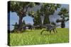 Three Gigantoraptors Running across a Grassy Field-null-Stretched Canvas