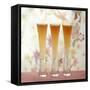 Three Glasses of Bellini (Sparkling Wine with Peach Juice)-Michael Paul-Framed Stretched Canvas