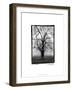 Three Graces-Laura Denardo-Framed Art Print