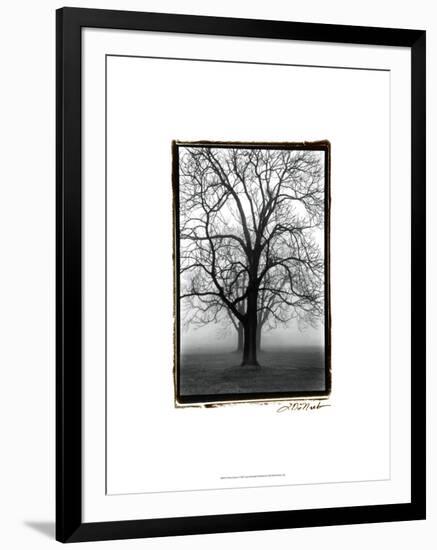 Three Graces-Laura Denardo-Framed Art Print