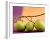 Three Green Mangos on a Branch-Luzia Ellert-Framed Photographic Print