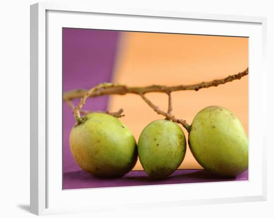 Three Green Mangos on a Branch-Luzia Ellert-Framed Photographic Print