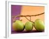 Three Green Mangos on a Branch-Luzia Ellert-Framed Photographic Print