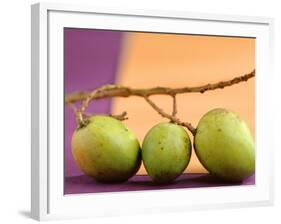 Three Green Mangos on a Branch-Luzia Ellert-Framed Photographic Print