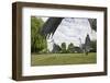 Three Grey Herons (Ardea Cinerea) Fighting in Regent's Park, London, UK, April 2011-Terry Whittaker-Framed Photographic Print