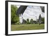 Three Grey Herons (Ardea Cinerea) Fighting in Regent's Park, London, UK, April 2011-Terry Whittaker-Framed Photographic Print