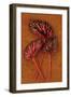 Three Hairy Leaves-Den Reader-Framed Photographic Print