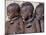 Three Happy Himba Children Enjoy Watching a Dance, Namibia-Nigel Pavitt-Mounted Photographic Print