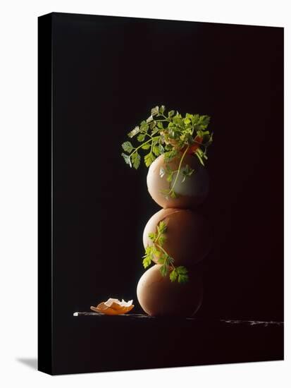 Three Hard-Boiled Brown Eggs Stack One on Top of the Other-Michael Wissing-Stretched Canvas