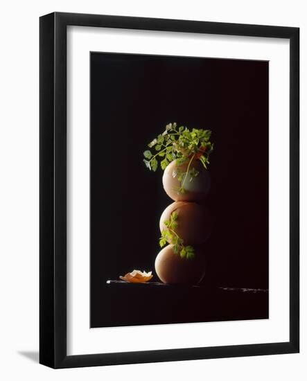 Three Hard-Boiled Brown Eggs Stack One on Top of the Other-Michael Wissing-Framed Photographic Print