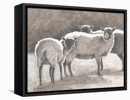 Three Heirloom Sheep-Gwendolyn Babbitt-Framed Stretched Canvas