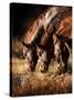 Three Horses Drinking in Dusky Light-Sheila Haddad-Stretched Canvas