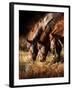 Three Horses Drinking in Dusky Light-Sheila Haddad-Framed Premium Photographic Print