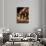 Three Horses Drinking in Dusky Light-Sheila Haddad-Photographic Print displayed on a wall