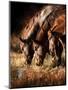 Three Horses Drinking in Dusky Light-Sheila Haddad-Mounted Photographic Print