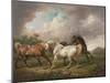 Three Horses in a Stormy Landscape-Charles Towne-Mounted Giclee Print