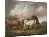 Three Horses in a Stormy Landscape-Charles Towne-Mounted Giclee Print