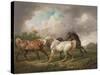 Three Horses in a Stormy Landscape-Charles Towne-Stretched Canvas