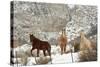 Three Horses in Pasture with Snow, Near Kanab, Utah-Howie Garber-Stretched Canvas