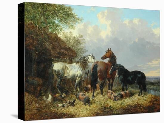 Three Horses with Pigs-John Frederick Herring Jnr-Stretched Canvas