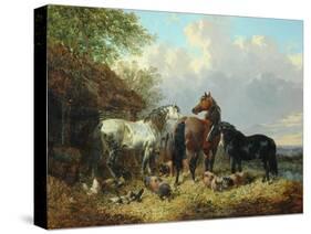 Three Horses with Pigs-John Frederick Herring Jnr-Stretched Canvas