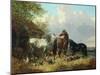 Three Horses with Pigs-John Frederick Herring Jnr-Mounted Giclee Print