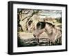 Three Horses-Tim Kahane-Framed Photographic Print