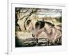 Three Horses-Tim Kahane-Framed Photographic Print