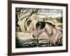 Three Horses-Tim Kahane-Framed Photographic Print