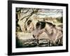 Three Horses-Tim Kahane-Framed Photographic Print