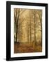 Three Hundred Years Ago-John Atkinson Grimshaw-Framed Giclee Print