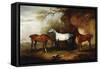 Three Hunters Belonging to Robert Myddelton-Biddulph-John E. Ferneley-Framed Stretched Canvas