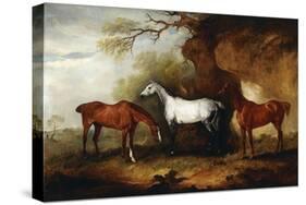 Three Hunters Belonging to Robert Myddelton-Biddulph-John E. Ferneley-Stretched Canvas