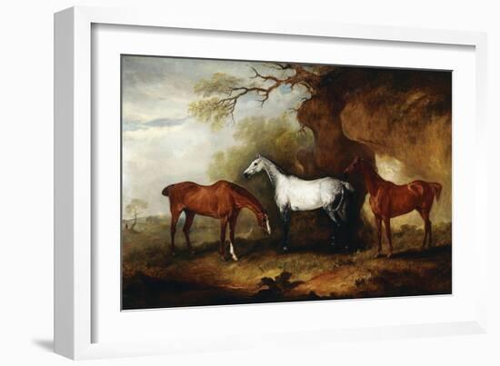 Three Hunters Belonging to Robert Myddelton-Biddulph-John E. Ferneley-Framed Giclee Print