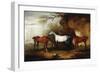 Three Hunters Belonging to Robert Myddelton-Biddulph-John E. Ferneley-Framed Giclee Print