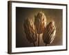 Three Illuminated Pods-George Oze-Framed Photographic Print