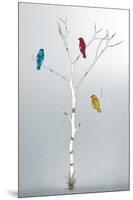 Three in a Tree-Marvin Pelkey-Mounted Art Print