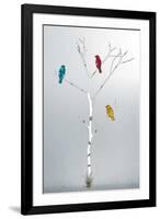 Three in a Tree-Marvin Pelkey-Framed Art Print