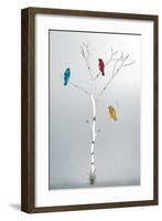 Three in a Tree-Marvin Pelkey-Framed Giclee Print