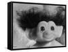 Three Inch Troll Doll Called "Dammit" Sold by Scandia House Enterprises-Ralph Morse-Framed Stretched Canvas