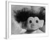 Three Inch Troll Doll Called "Dammit" Sold by Scandia House Enterprises-Ralph Morse-Framed Photographic Print
