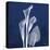 Three Indigo Calla Lilies-Albert Koetsier-Stretched Canvas