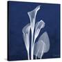 Three Indigo Calla Lilies-Albert Koetsier-Stretched Canvas