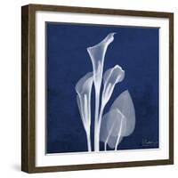 Three Indigo Calla Lilies-Albert Koetsier-Framed Premium Giclee Print