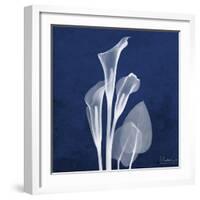 Three Indigo Calla Lilies-Albert Koetsier-Framed Premium Giclee Print