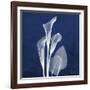 Three Indigo Calla Lilies-Albert Koetsier-Framed Giclee Print