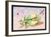 Three Insect Examples-James Duncan-Framed Art Print